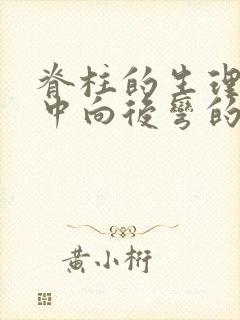 脊柱的生理弯曲中向后弯的有