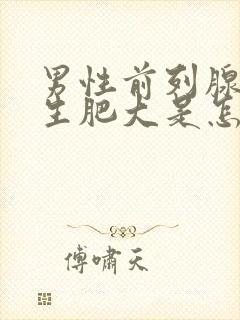 男性前列腺有增生肥大是怎么来的