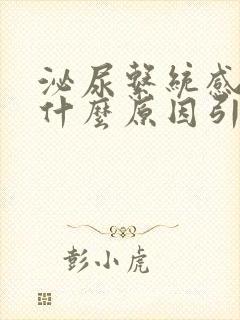 泌尿系统感染是什么原因引起的