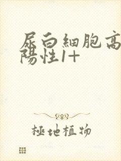 尿白细胞高酯酶阳性1+