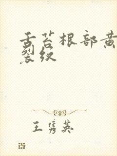 舌苔根部黄腻有裂纹