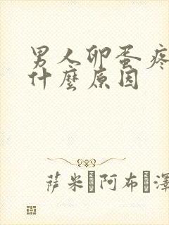 男人卵蛋疼痛是什么原因