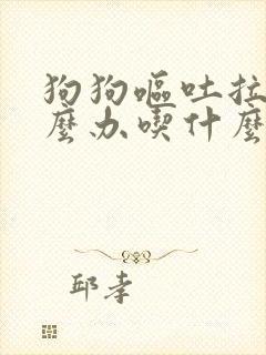 狗狗呕吐拉稀怎么办吃什么药