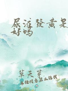 尿液发黄是肝不好吗