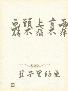 龟头上有两个红点不痛不痒