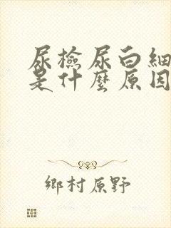 尿检尿白细胞高是什么原因