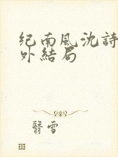 纪南风沈诗澜番外结局