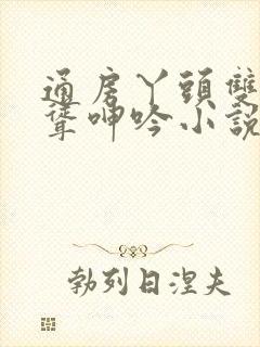 通房丫头双乳高耸呻吟小说