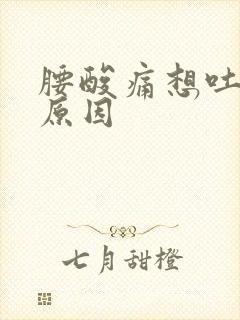 腰酸痛想吐什么原因