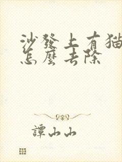 沙发上有猫尿味怎么去除