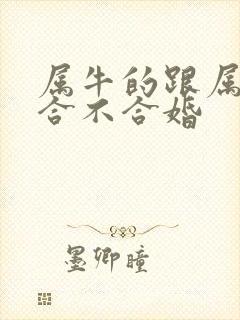 属牛的跟属猴的合不合婚