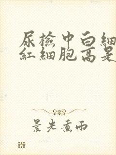 尿检中白细胞和红细胞高是咋回事