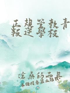 正规管教青少年叛逆学校