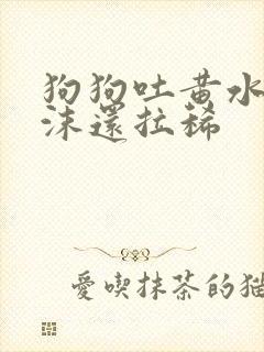 狗狗吐黄水带泡沫还拉稀