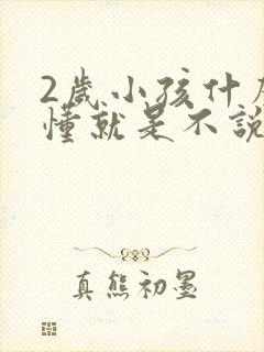 2岁小孩什么都懂就是不说话