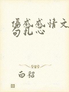 伤感感情文案短句扎心