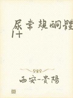 尿常规酮体阳性1+