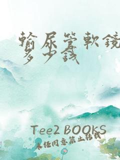 输尿管软镜结石多少钱