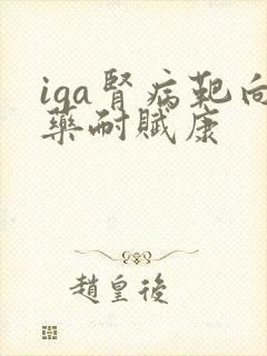 iga肾病靶向药耐赋康