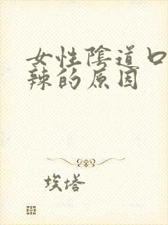 女性阴道口火辣辣的原因