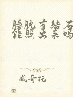 膀胱有结石b超能照出来吗