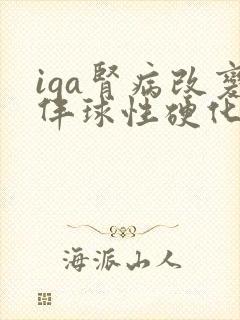 iga肾病改变伴球性硬化及新月体形成
