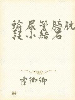 输尿管膀胱壁内段小结石