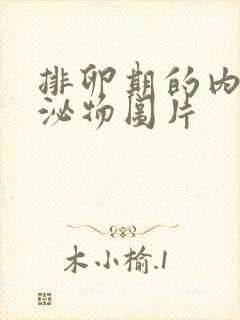 排卵期的内裤分泌物图片