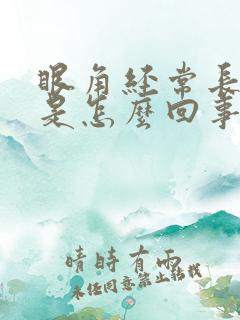 眼角经常长眼屎是怎么回事