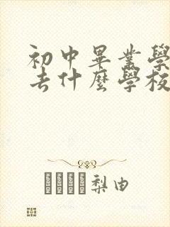 初中毕业学航空去什么学校