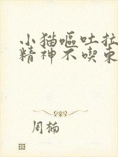 小猫呕吐拉稀没精神不吃东西