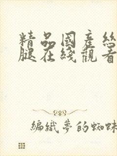 精品国产丝袜美腿在线观看