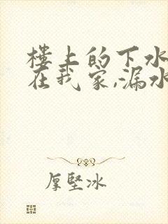 楼上的下水管道在我家,漏水谁负责