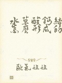 水草酸钙结石是怎么形成的