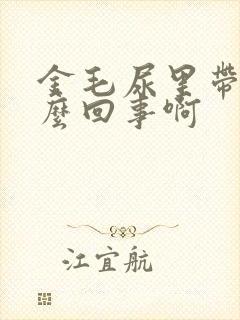 金毛尿里带血怎么回事啊