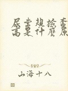 尿常规检查细菌高是什么原因