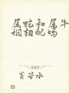 属蛇和属牛的婚姻相配吗