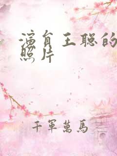 演员王聪的老婆照片