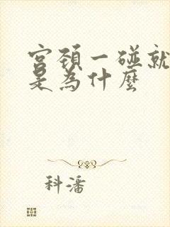 宫颈一碰就出血是为什么