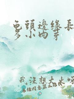 龟头边缘长了很多小肉芽