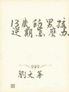 13岁的男孩叛逆期怎么办