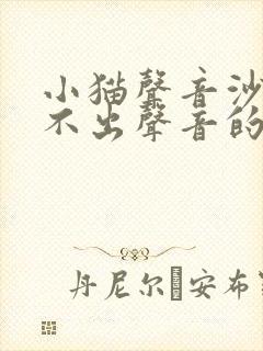 小猫声音沙哑叫不出声音的原因