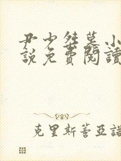 尹少桀慕小小小说免费阅读