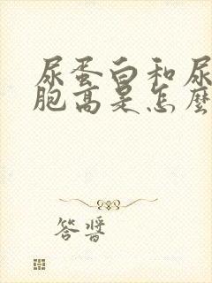 尿蛋白和尿红细胞高是怎么回事