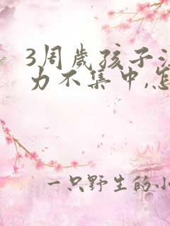 3周岁孩子注意力不集中,怎么培养专注力