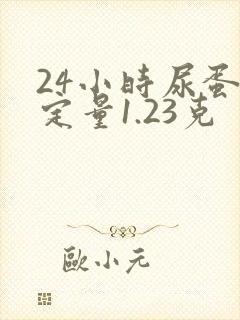 24小时尿蛋白定量1.23克