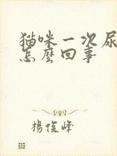 猫咪一次尿一点怎么回事