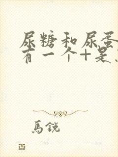 尿糖和尿蛋白各有一个+是怎么回事