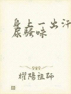 身上一出汗就有尿骚味