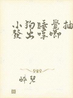 小狗睡觉抽搐还发出哼唧